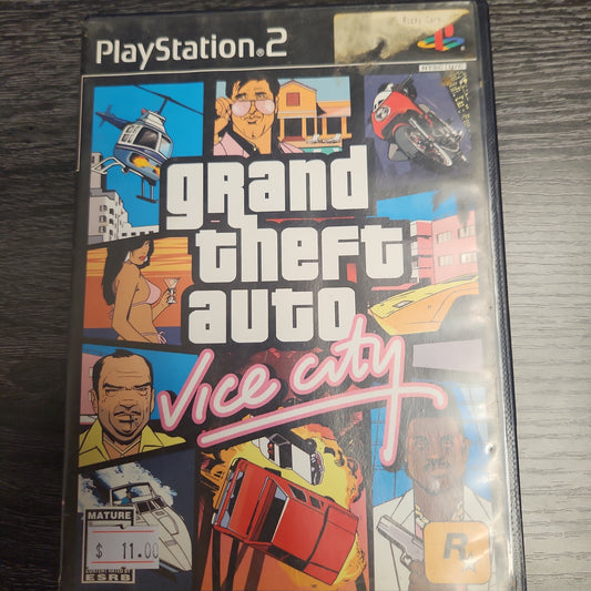 Grand theft auto vice city