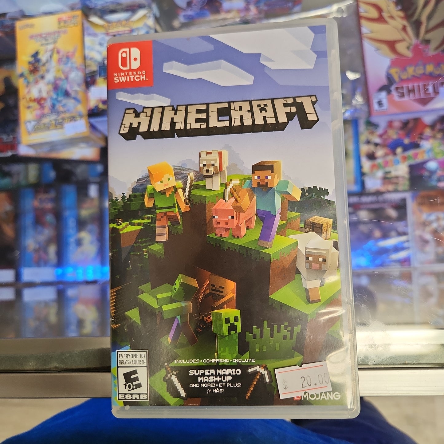 Minecraft Nintendo switch