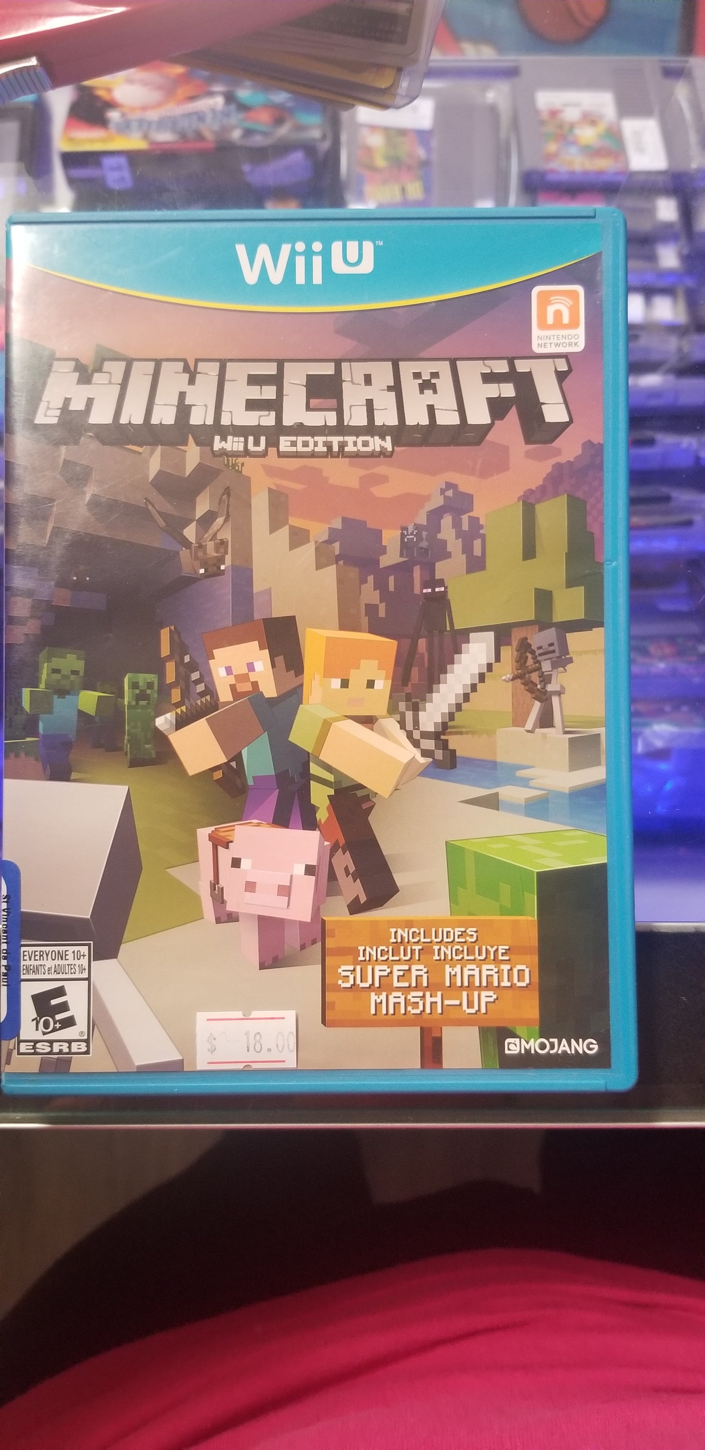 Minecraft WiiU Edition